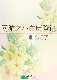 网游之小白历险记